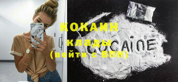 ГАЛЛЮЦИНОГЕННЫЕ ГРИБЫ Аркадак