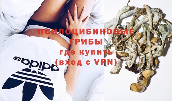 гашиш Арсеньев