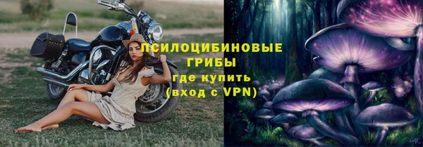 ГАЛЛЮЦИНОГЕННЫЕ ГРИБЫ Аркадак