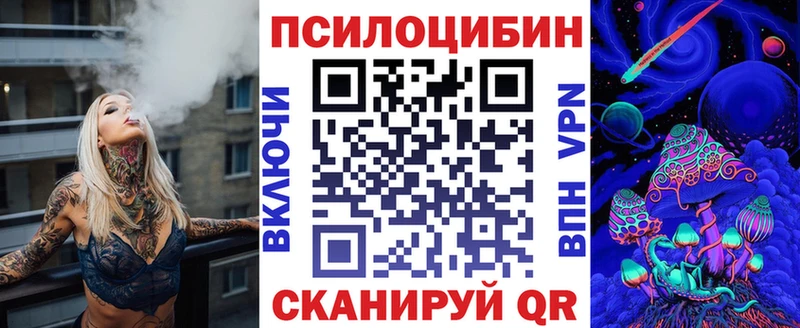 Купить закладки  Новоалександровск  Псилоцибиновые грибы MAGIC MUSHROOMS 